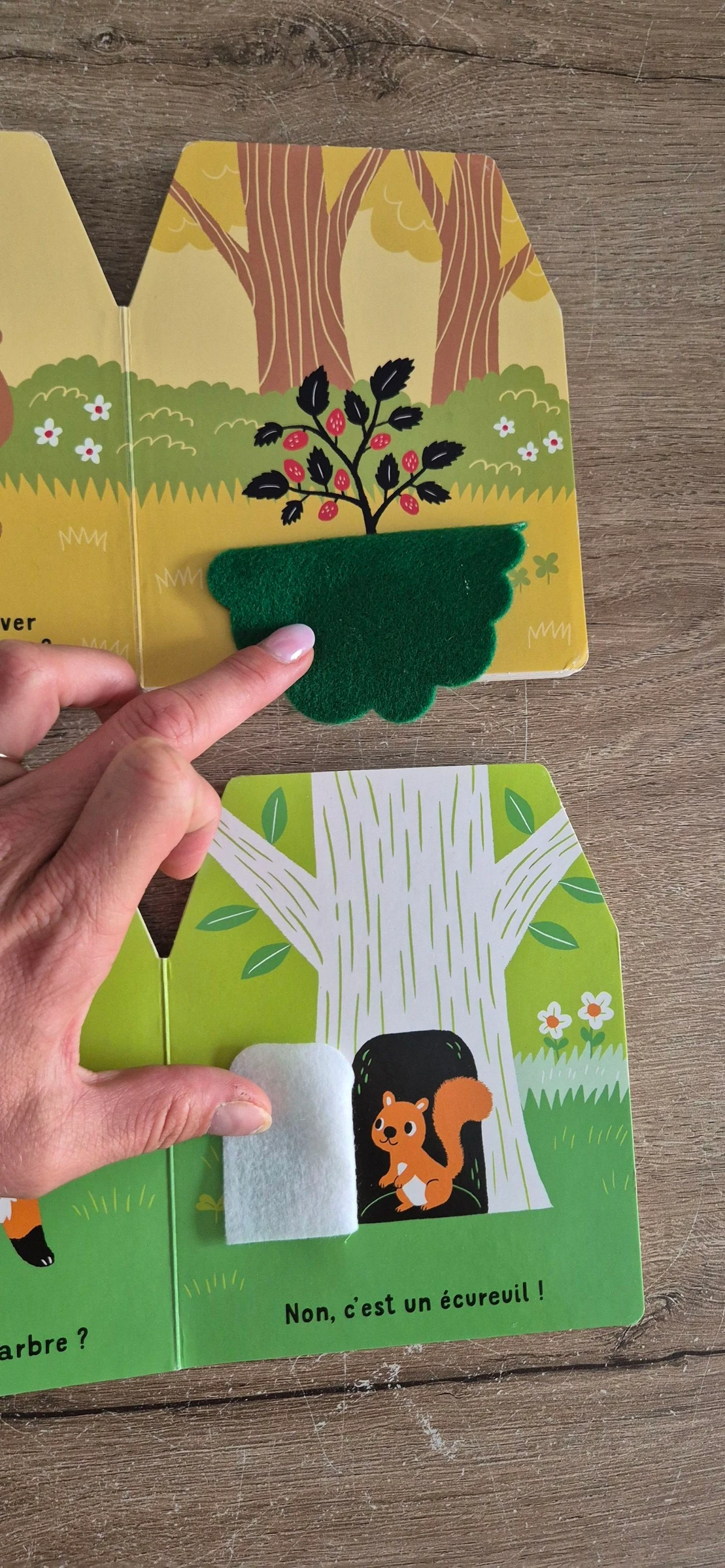 Lot de livros Cache-cache em feltro – photo 6